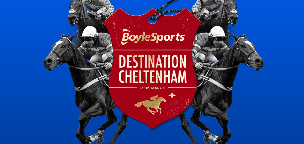 BoyleSports Cheltenham Hub 2024