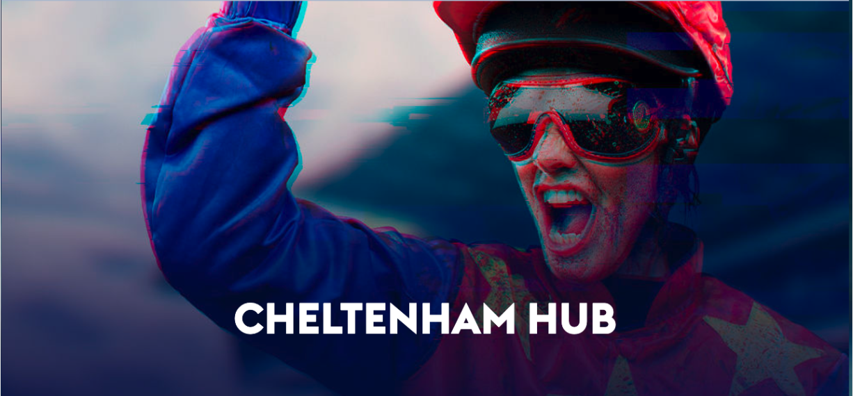 SkyBet Cheltenham Hub 2024